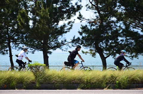 近江八幡と西の湖方面サイクリング&琵琶湖大橋とからすま半島ウォーキング